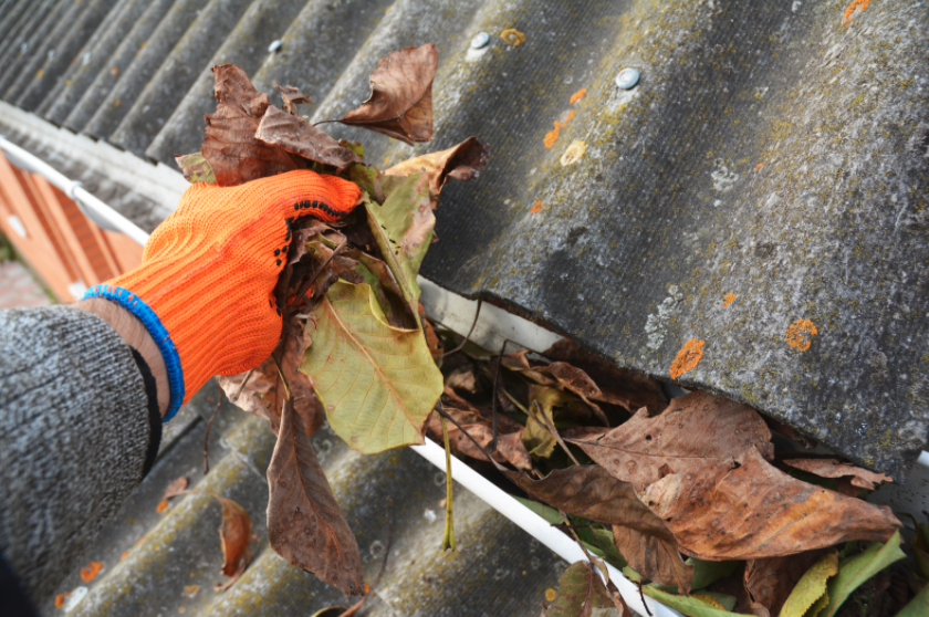 Why you should clean your gutters